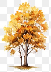 PNG Tree drawing autumn sketch. 