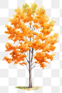 PNG Tree autumn plant maple. AI generated Image by rawpixel.