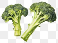 PNG Vegetable broccoli plant food. AI generated Image by rawpixel.