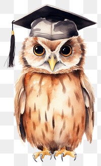 PNG Graduation animal bird beak. AI generated Image by rawpixel.