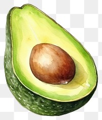 PNG Avocado fruit plant food. 