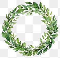 PNG Wreath plant herbs leaf. 