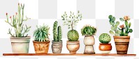 PNG Cactus plant arrangement houseplant