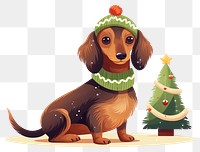 PNG Christmas dachshund animal mammal. 