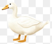 PNG Duck animal goose white. 