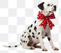 PNG Dog christmas dalmatian animal. 