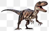 PNG Dinosaur reptile animal paleontology