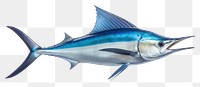 PNG Animal fish freshness swordfish. 