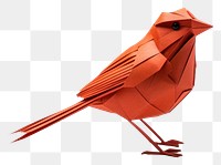 PNG Animal bird creativity appliance. 