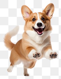 PNG Mammal animal dog pet. AI generated Image by rawpixel.