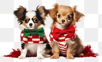 PNG Christmas papillon portrait spaniel