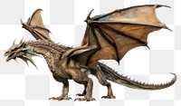 PNG Dinosaur reptile animal dragon. 