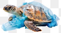 PNG Plastic reptile animal turtle transparent background