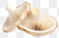 PNG Mushroom fungus plant agaricaceae. AI generated Image by rawpixel.