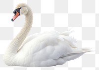 PNG Swan animal white bird. 