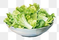 PNG Vegetable lettuce salad plate. 