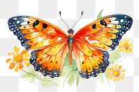 PNG Butterfly insect animal flower. 