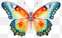 PNG Butterfly insect animal invertebrate. 