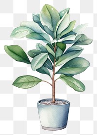 PNG Plant leaf tree white background. AI generated Image by rawpixel.