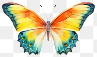 PNG Butterfly animal insect invertebrate. 