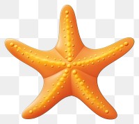 PNG Starfish white background invertebrate simplicity. 