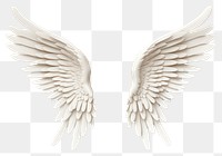 PNG Angel white wing art. 