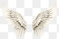 PNG Angel white bird wing