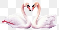 PNG Swan flamingo animal bird transparent background