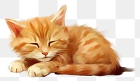 PNG Animal mammal kitten cute transparent background