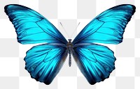 PNG Butterfly animal insect invertebrate. AI generated Image by rawpixel.
