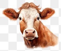 PNG Cow livestock portrait mammal transparent background