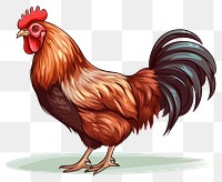 PNG Chicken agriculture poultry animal. AI generated Image by rawpixel.
