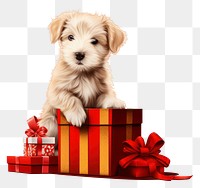 PNG Dog christmas mammal animal. AI generated Image by rawpixel.