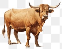 PNG Livestock cattle mammal animal. AI generated Image by rawpixel.