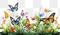PNG Butterfly animal insect transparent background