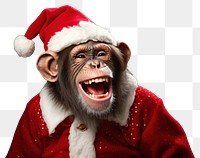 PNG Christmas smiling mammal animal. 