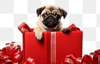 PNG Christmas mammal animal puppy. AI generated Image by rawpixel.