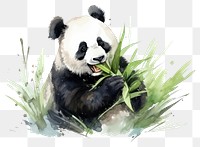 PNG Wildlife animal mammal eating. AI generated Image by rawpixel.