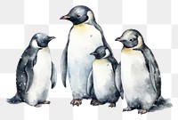 PNG Penguin animal bird wildlife. AI generated Image by rawpixel.