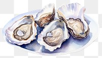 PNG Oyster seashell seafood plate. AI generated Image by rawpixel.