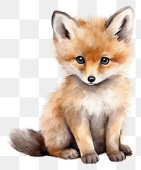 PNG Animal mammal cute fox. 