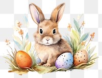 PNG Animal mammal easter bunny