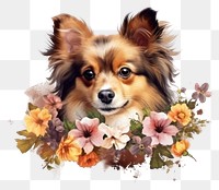 PNG Flower dog papillon mammal. 