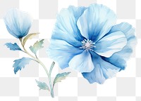 PNG Flower petal plant white. AI generated Image by rawpixel.