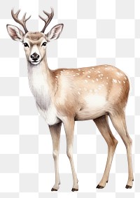 PNG Wildlife animal mammal herbivorous. AI generated Image by rawpixel.