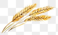 PNG Plant wheat food agriculture. AI generated Image by rawpixel.