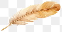 PNG Feather leaf bird lightweight. 