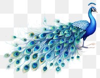 PNG Peacock animal bird creativity