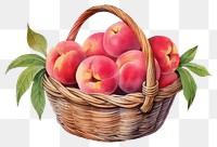 PNG Basket peach fruit plant. AI generated Image by rawpixel.