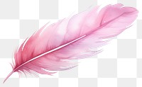 PNG Feather pink lightweight accessories